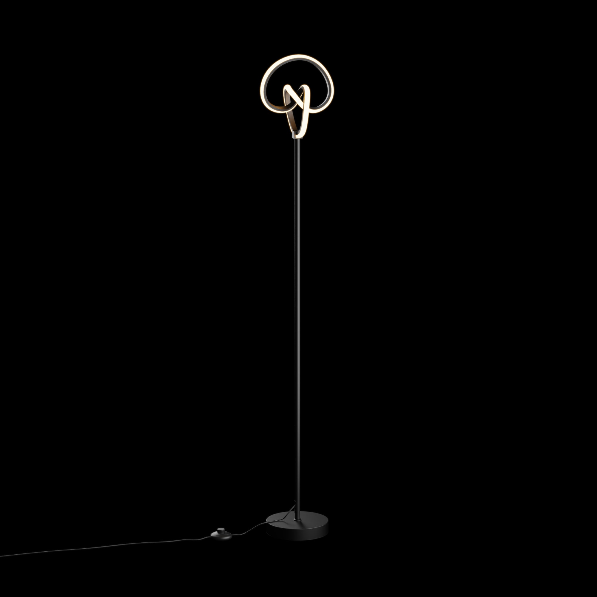 Abstract Art 31W LED Floor Lamp 58 in. - 3000K Warm Illumination- Twisted Circle Design in Matte Black