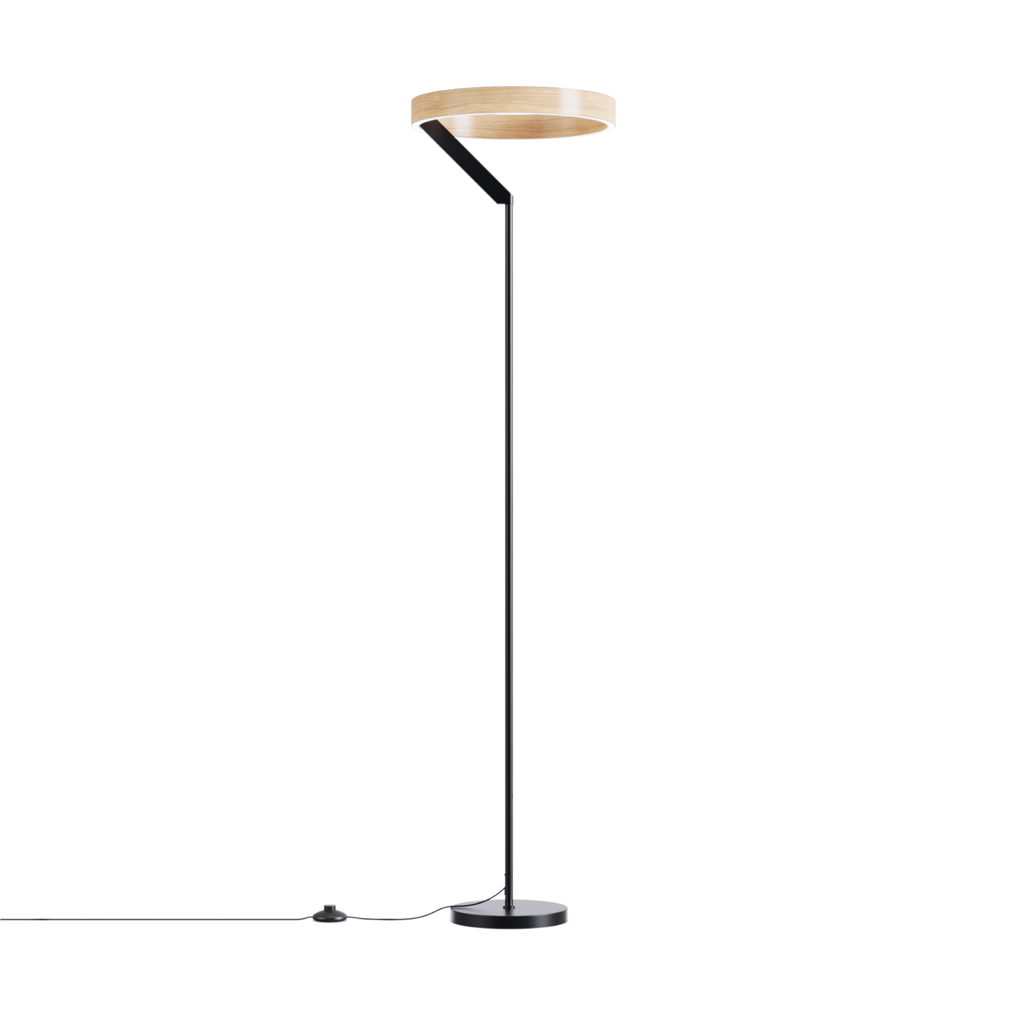 Modern 24W LED Floor Lamp 63 in. - 2700K Warm Light- Angled Design in Matte Black