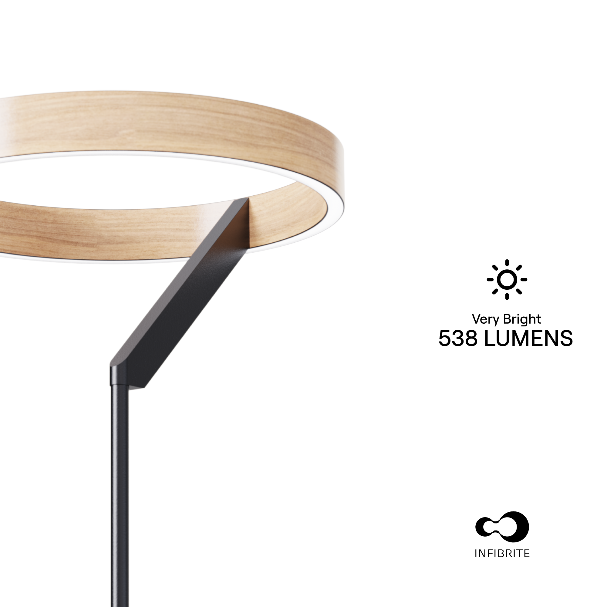 Modern 24W LED Floor Lamp 63 in. - 2700K Warm Light- Angled Design in Matte Black